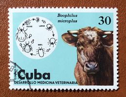 Briefmarken aus Kuba gestempelt  Siehe Original Fotos. 