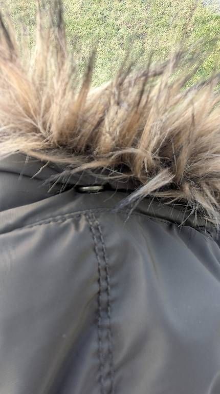 Mäntel: Wintermantel, L – Gebraucht aus ettingen von Shaneri 2