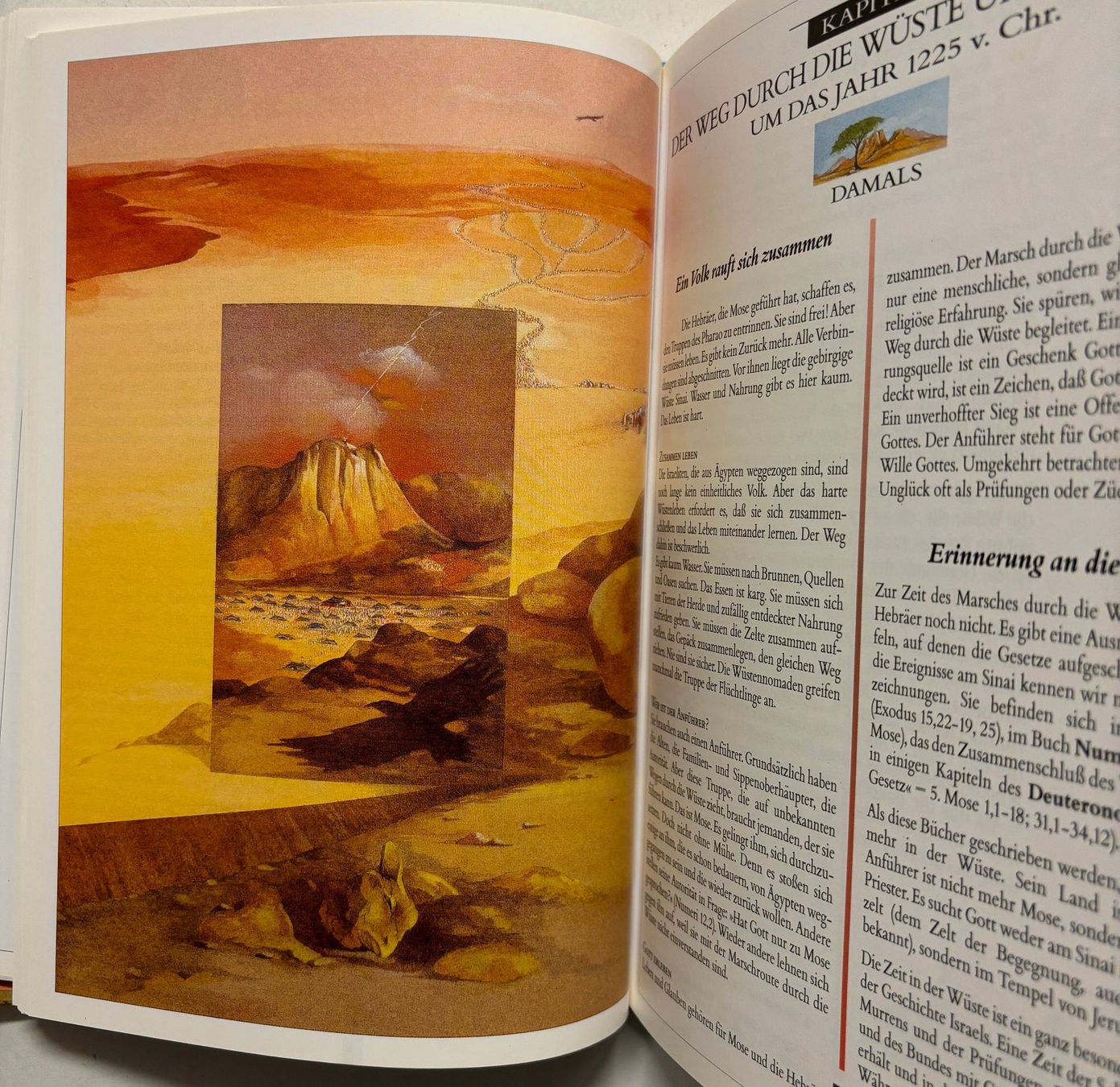 Libri: Das alte Testament heute neu entdeckt – Nuovo (secondo la descrizione) da Sarnen venduto da Livres 7