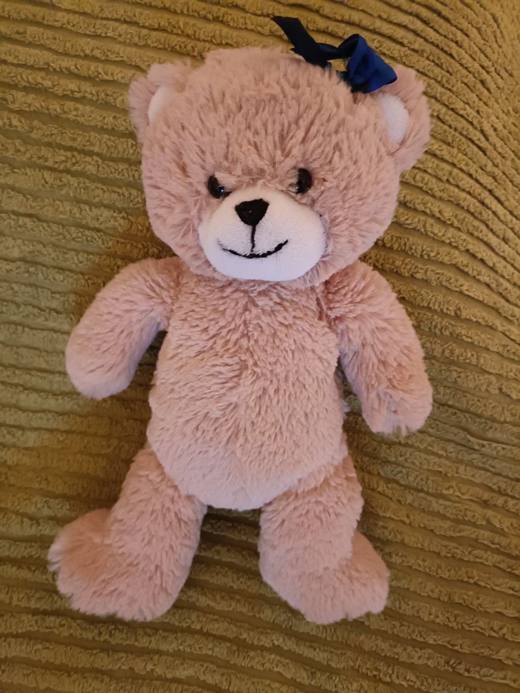Spielzeuge: Plüsch - Teddy – Gebraucht aus Oftringen von mwi_kv82