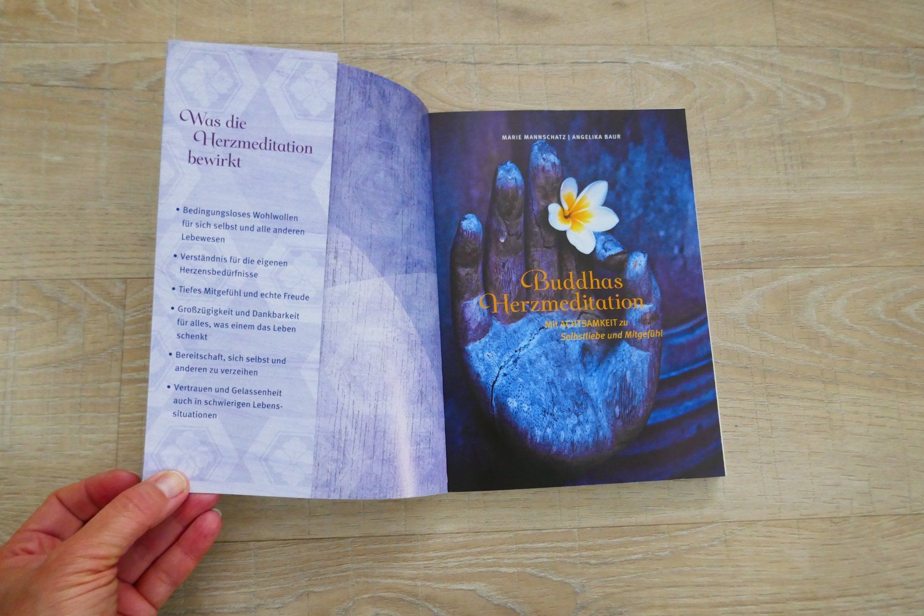 Libri: Buddhas Herzmeditation, Buch ohne CD – Usato da Port venduto da uzuku 2