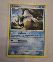 BLIZZI 74/100 DIAMANT & PERLE TEMPÊTE VINTAGE 2009 FRANÇAIS