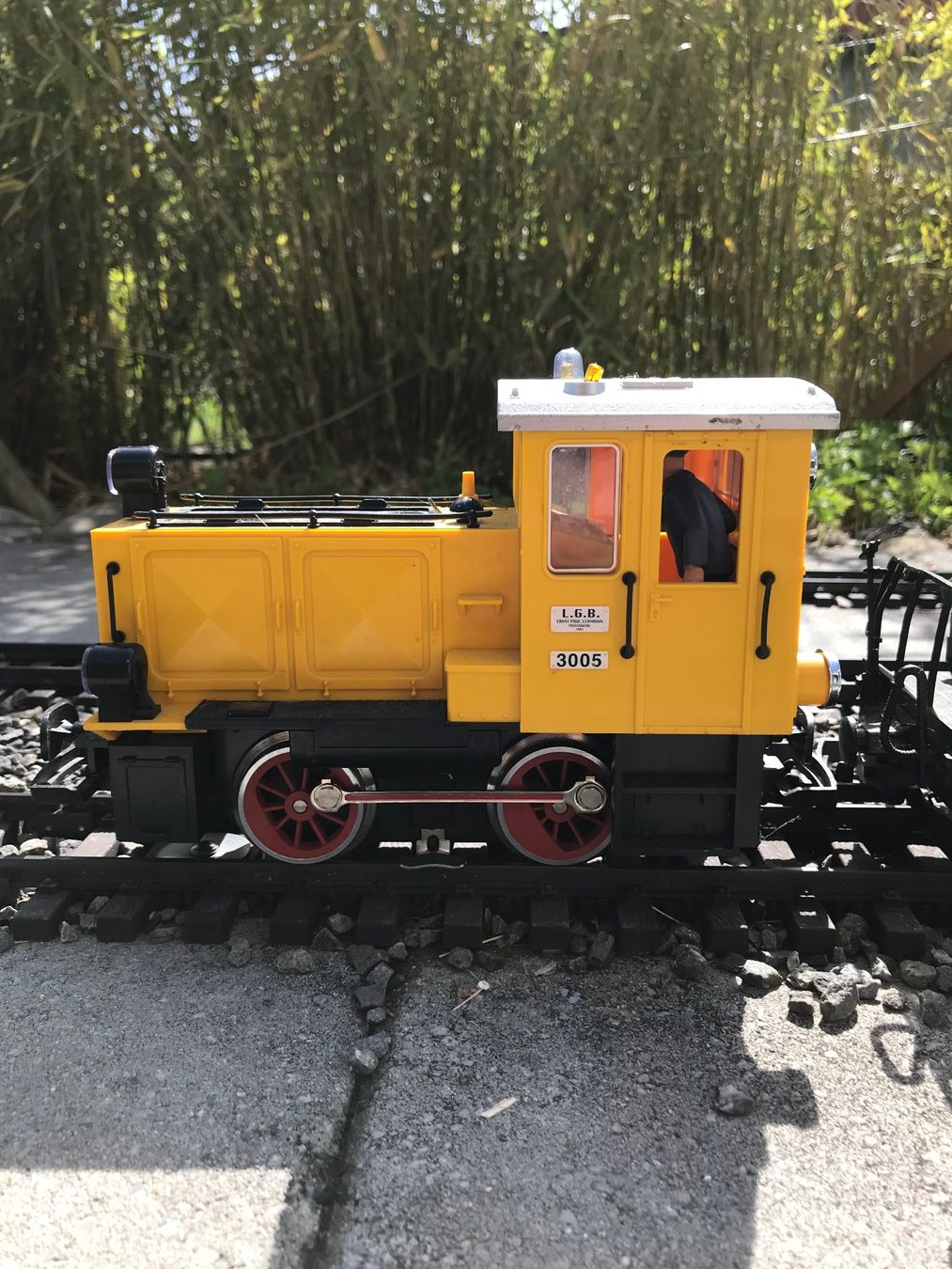LGB Modellini di ferrovie: 2LGB Lokomotiven und 2Wagen – Usato da Lauerz venduto da RogerH05 1