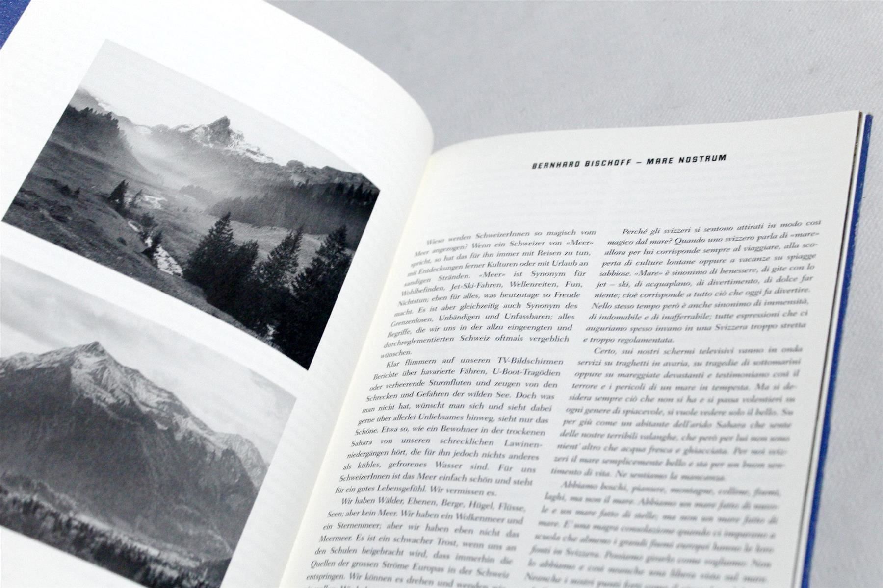 Türen: MARE NOSTRUM: Gartentor, Michel, Strauch – Gebraucht aus Bern von Arting 8