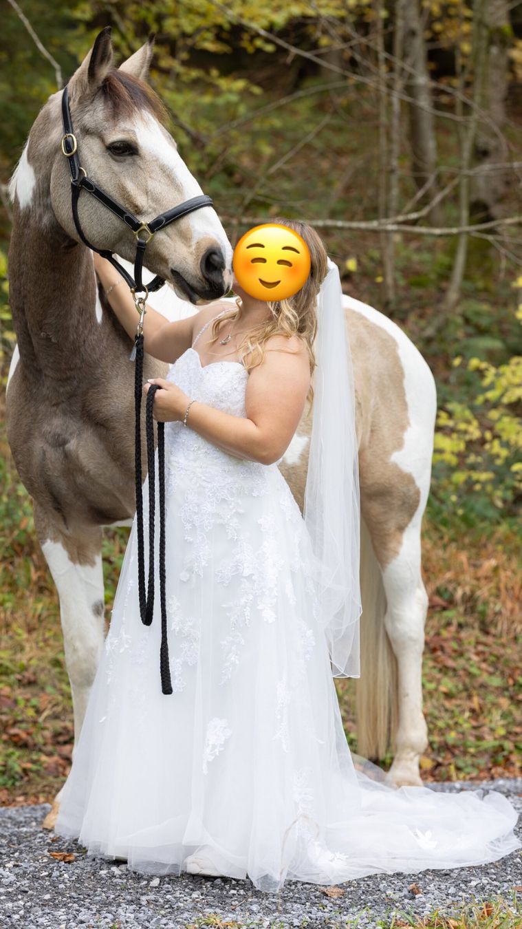 Robes: Hochzeitskleid – D'occasion à Saland par Swiss_Lady95