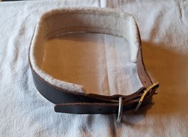 Hundehalsband, Leder, gepolstert
