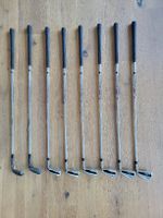 Titleist AP1 Eisenset + Wedges