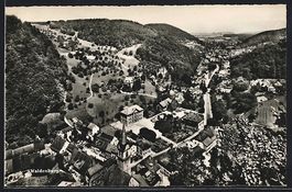 Waldenburg, Gesamtansicht mit Waldhinter