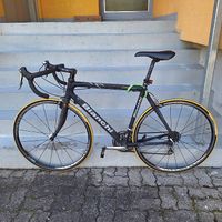 Bianchi Carbon Rennvelo