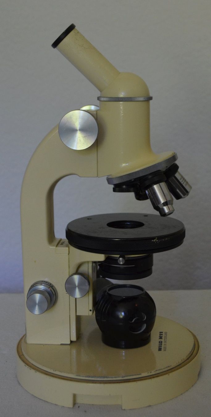 Wild Microscopi: Wild Heerbrugg M11 Mikroskop  / microscope – Usato da Collonges venduto da arashee 3