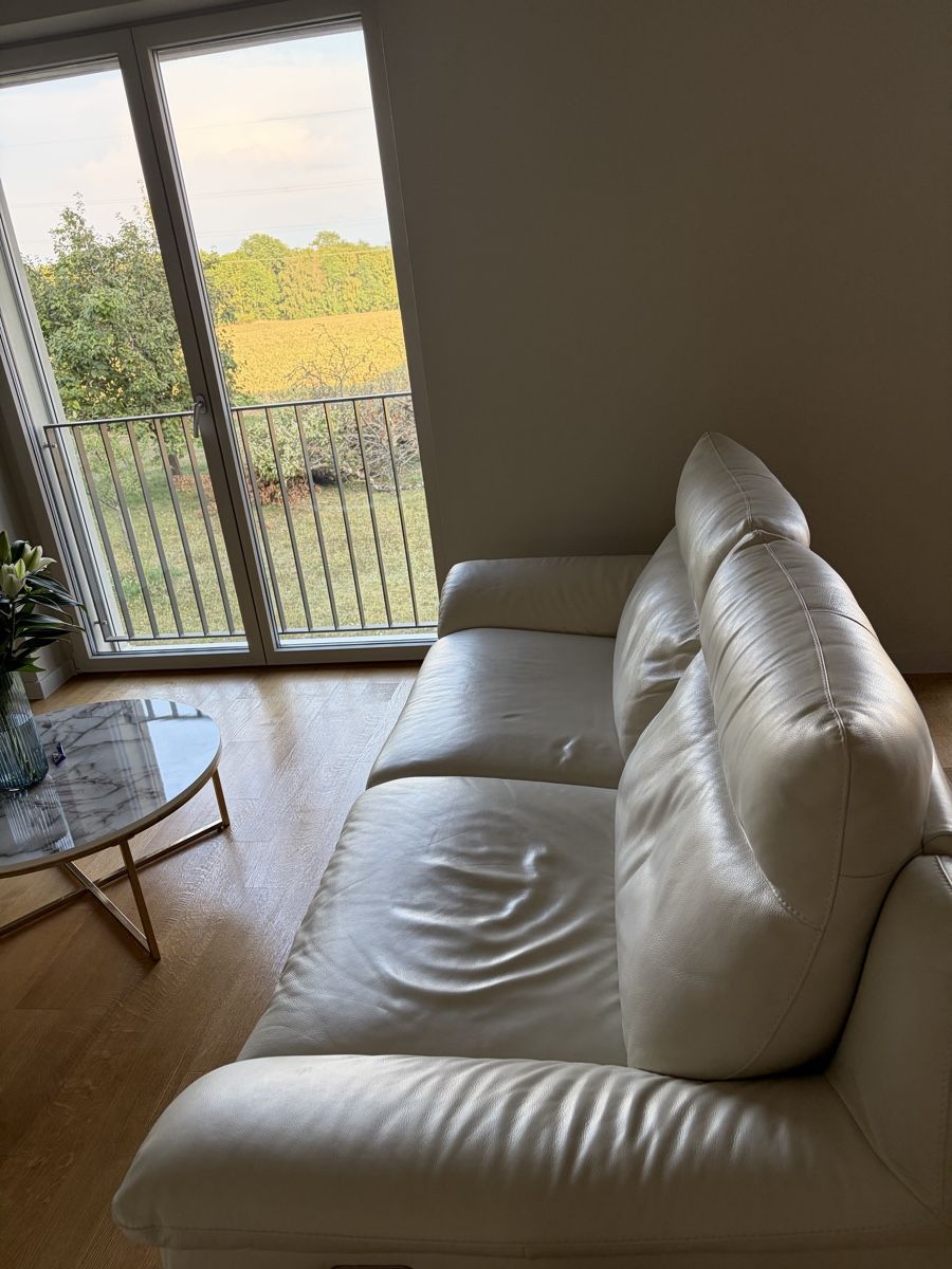 Divani: Comfy leather sofas - Pfister – Usato da Eysins venduto da ilkerugur