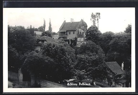 Ansichtskarten: AK Bellikon, Schloss Bellikon – Gebraucht aus Berlin von bartko-reher