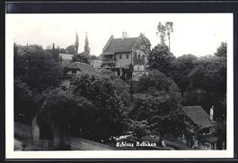 AK Bellikon, Schloss Bellikon