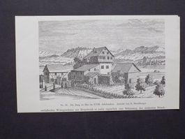 Maur Zürich