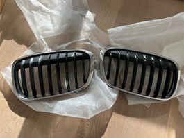 BMW X1 Original Kühlergrill Niere Front (Paar)