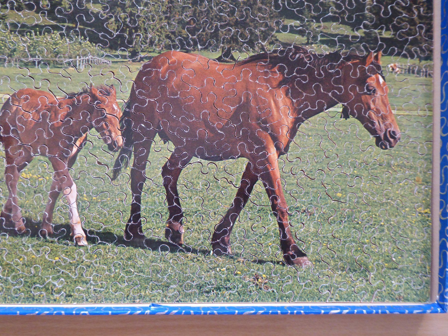 Penelope Puzzles: Penelope Puzzle 500 Teile - Pferde – Gebraucht aus Gossau SG von tenerife11 7