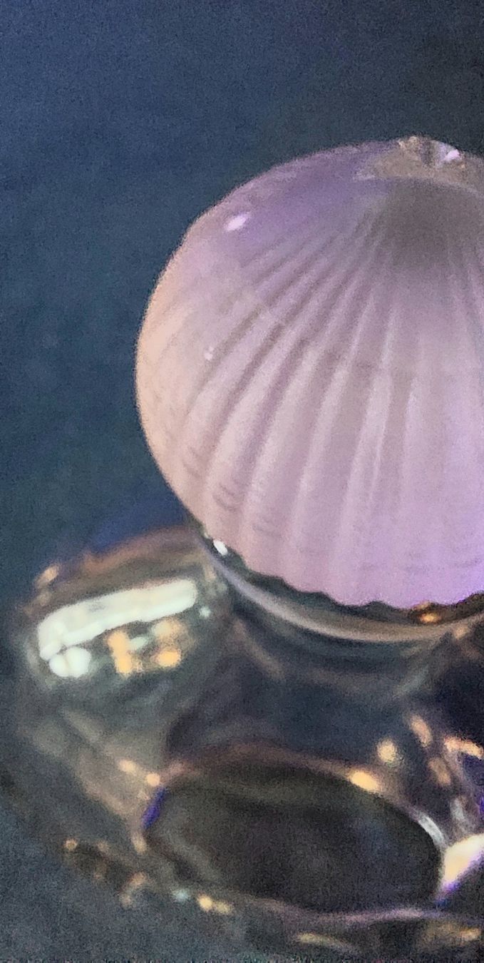 Guerlain Flacons: Grosse Leere Guerlain Parfumflasche – Gebraucht aus Safenwil von fra_t5c9 5