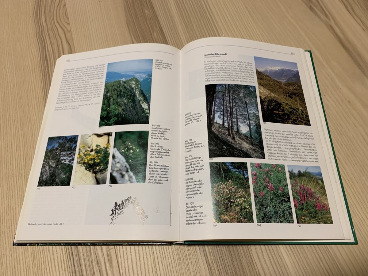 Libri: Wälder der Schweiz – Usato da Goldach venduto da sim_6w5n 1