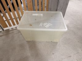 IKEA SAMLA Aufbewahrungsbox mit Deckel und Rollen