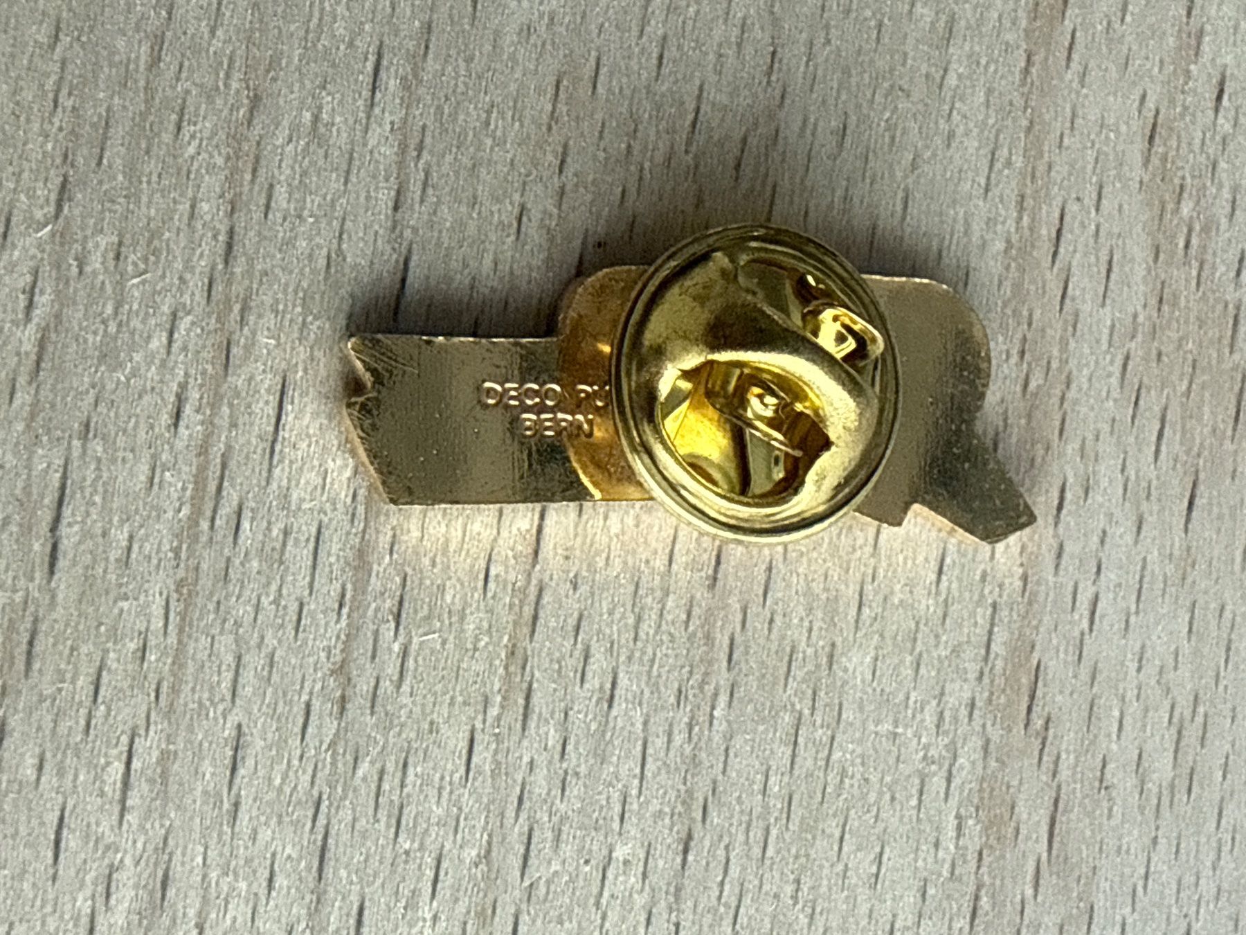 Placchette & Badge: Pin CARGO DOMIZIL – Usato da Glattbrugg venduto da Schweigmatt 1