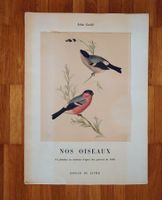 2 Lithomappen JOHN GOULD. VÖGEL, 24 Tafeln. Seltene Exempl.