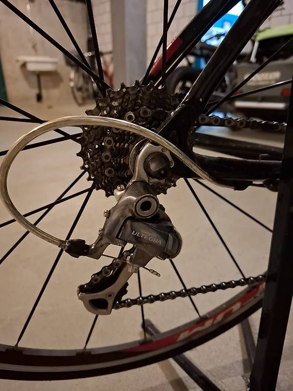 Biciclette: Schor Carbon Rennvelo – Usato da Seon venduto da luuuper 2