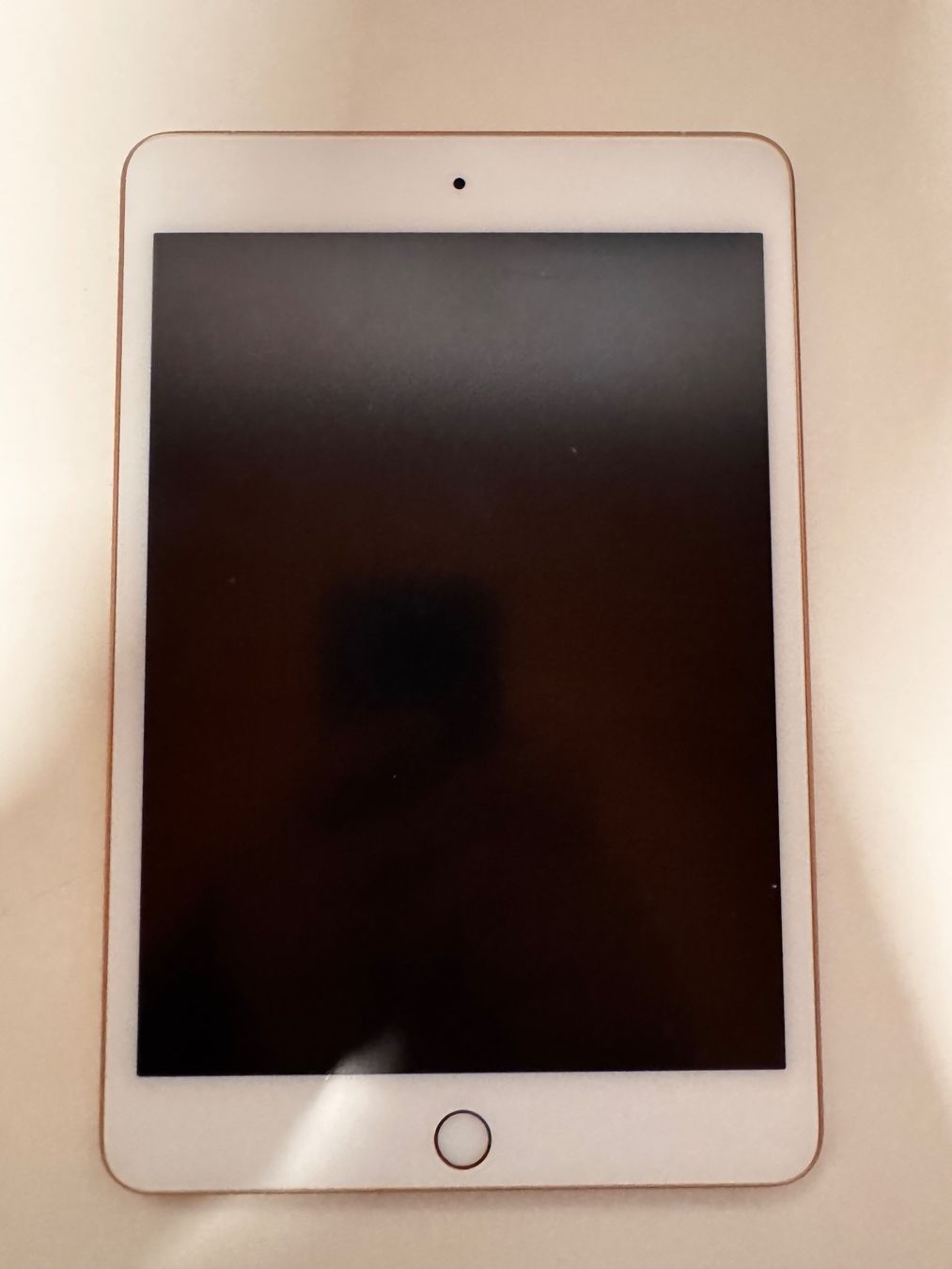 Apple Tablet PC: iPad Mini 5.Gen 256GB Wifi+Cellular Gold – Usato da Mosnang venduto da Dis7 1