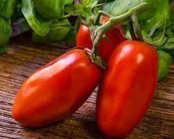 Piante & sementi: Tomate, San Marzano – Nuovo (secondo la descrizione) da Eschen venduto da Saemereien24