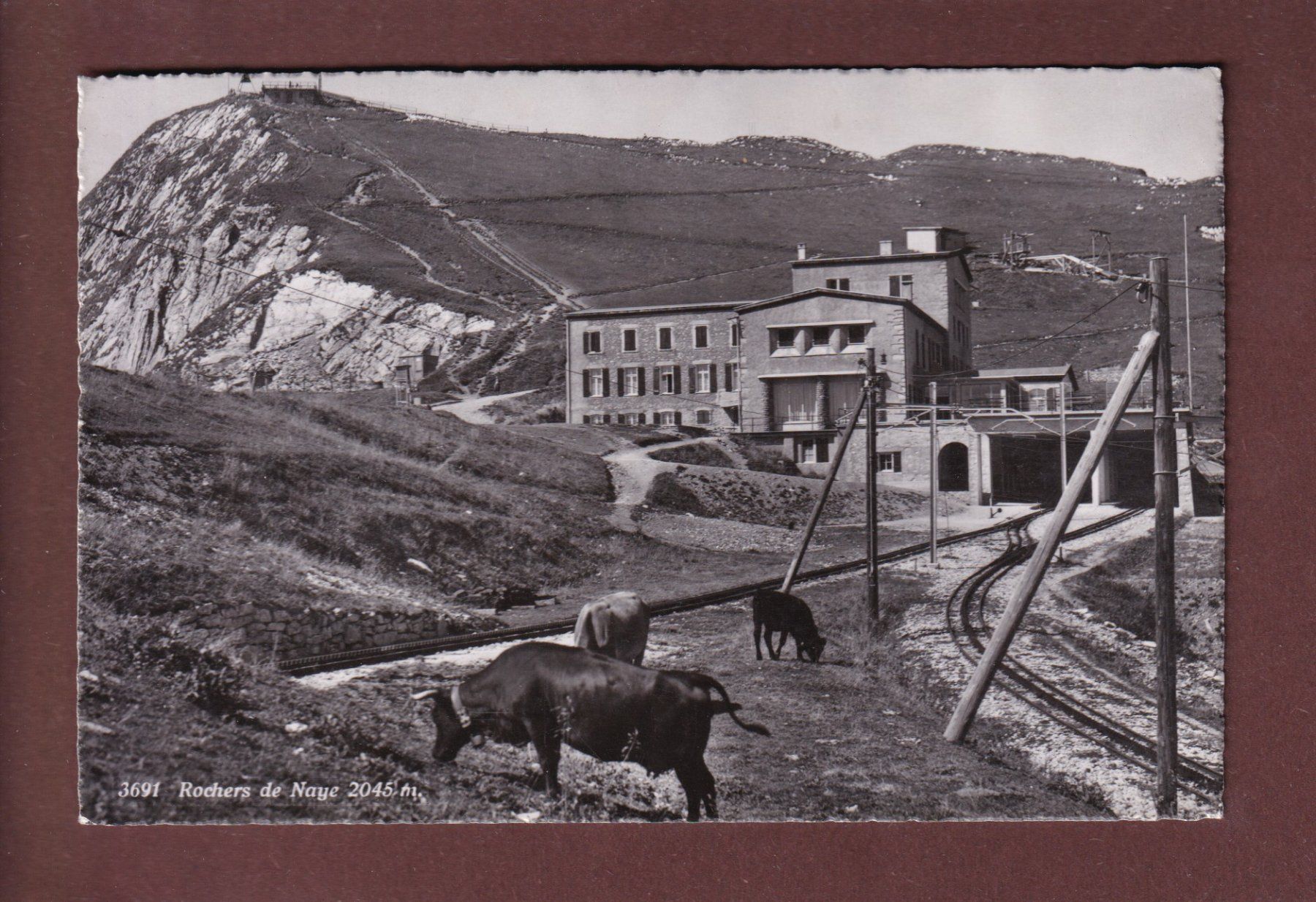 Cartoline postali: ROCHERS DE NAYE - Vaches – Usato da Pully venduto da nicecards