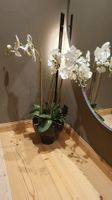 Wunderschöne Kunst-Orchidee im Topf