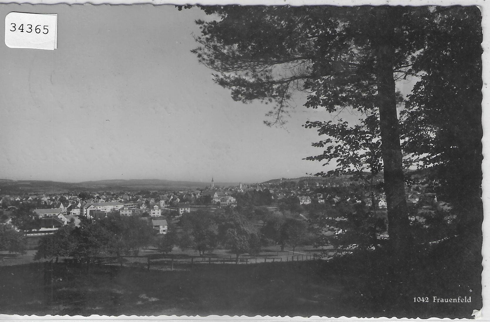 Cartoline postali: Frauenfeld - Generalansicht – Usato da Ettingen venduto da Kartenplanet