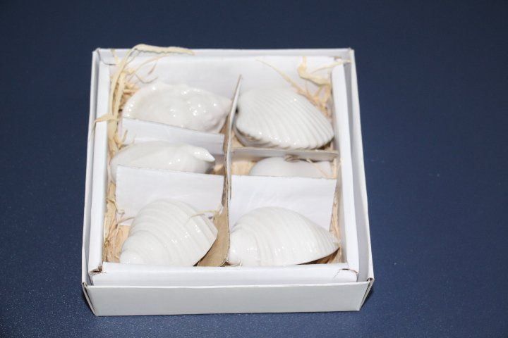 Tutte le decorazioni: Muscheldeko neu – Nuovo e nell'imballaggio originale da Eschenbach SG venduto da Anisti13