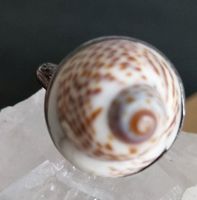 SCHNECKENHAUS RING IN 925 SILBER