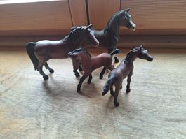 Schleichpferde