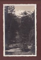 GSTAAD - Geltengletscher - 1924