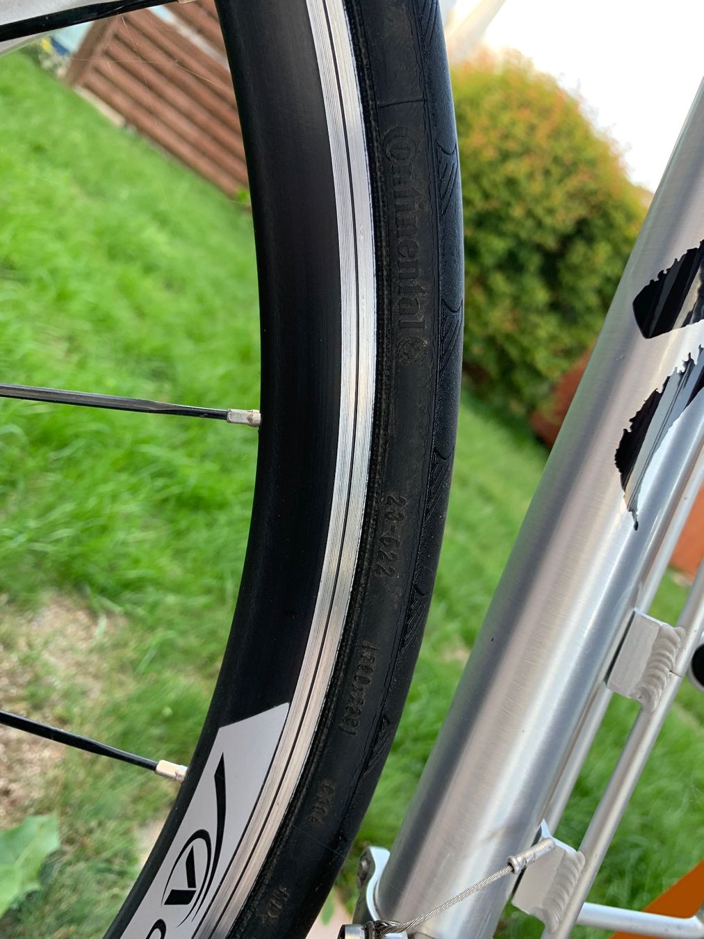 Specialized Velos: Rennvelo Specialized allez elite – Gebraucht aus Ins von  7