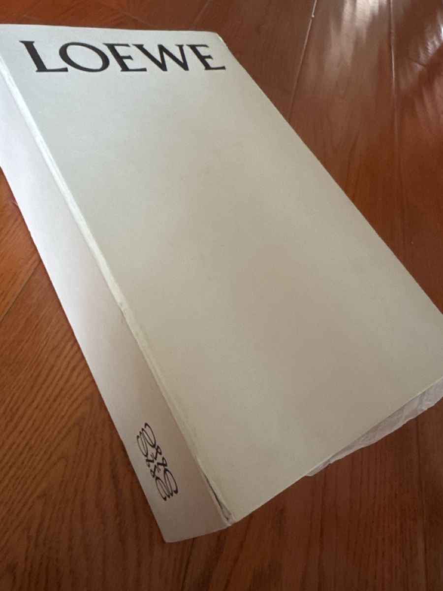 Scarpe da uomo: loewe anagram flap soft white shoes – Usato da Davos Dorf venduto da gin_8k9d 5