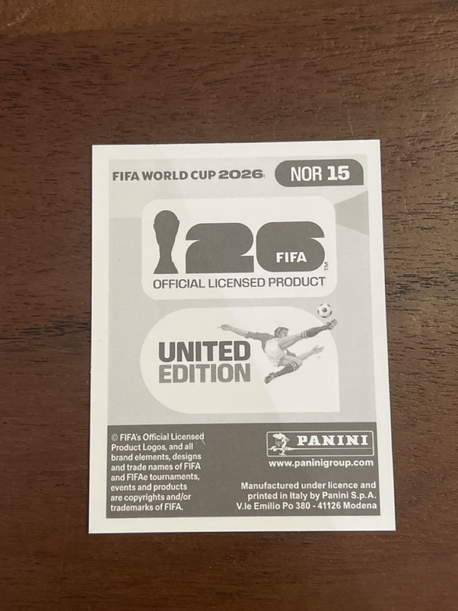Panini Carte collezionabili: Panini Erling Haaland – Nuovo (secondo la descrizione) da Rutschwil (Dägerlen) venduto da nin_v6tx 1