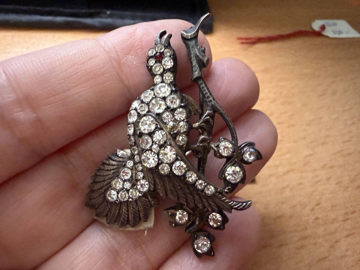 Spille & Fermagli: Antike Vogel-Brosche mit Strass, 925er Silber – Usato da Lamone venduto da LaCantinaMagica 8