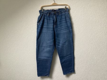 US Polo Assn. Jeans mit Gummibund,Damen Gr. 14 ca. 42/44 Neu
