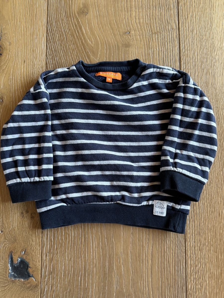 Pulls et sweat-shirts: Dunkelblauer gestreifter Babypullover Grösse 74 – D'occasion à Pragg-Jenaz par gobrist