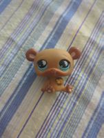 Littlest Pet shop Bär 