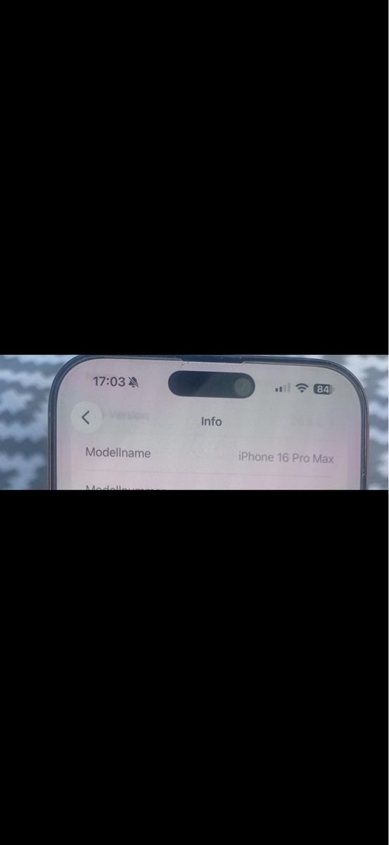 Apple Telefoni cellulari / Smartphones: Apple 16 Pro Max 256  – Usato da Laupen ZH venduto da Kaddy 2