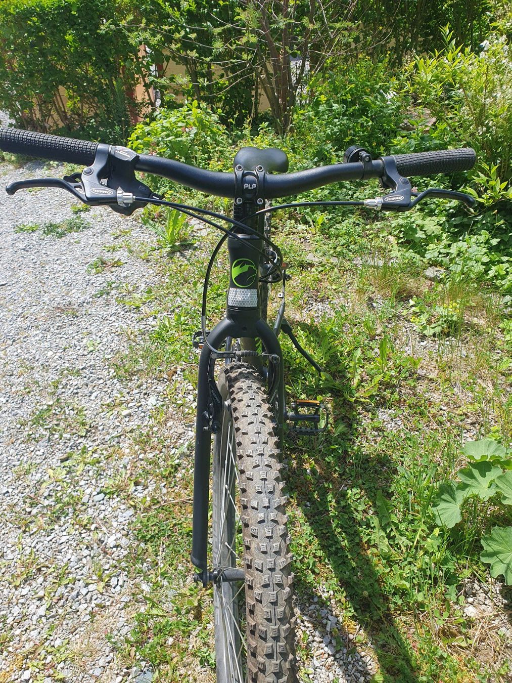 Pyro Biciclette: Pyro Twentysix (10 Gänge) – Usato da Zürich venduto da pas_pr8s 1