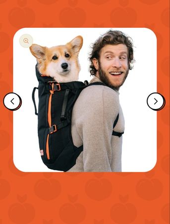 Hunderucksack medium