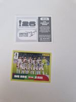 Panini Sticker IRN13