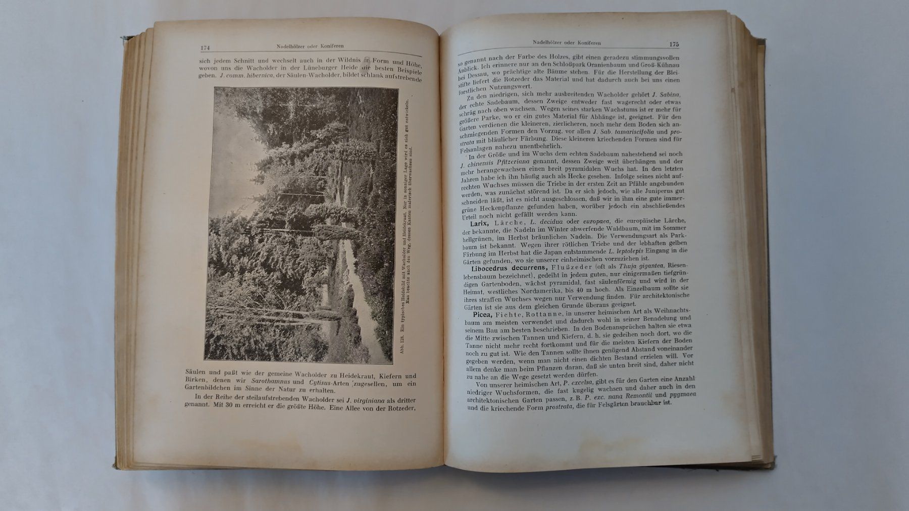 Libri: Allgemeines Gartenbuch 1926 / Gartengestaltung + Topfblumen – Usato da Bellach venduto da JingleJerry 8
