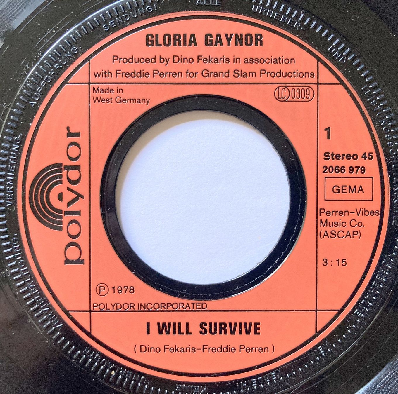 Vinyles: GLORIA GAYNOR - I WILL SURVIVE – D'occasion à Bottens par hotter-than-hell 2