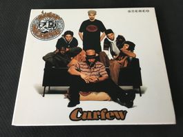 Curfew - Silent Majority -CD-