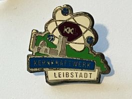 1 Pin Kernkraftwerk Leibstadt
